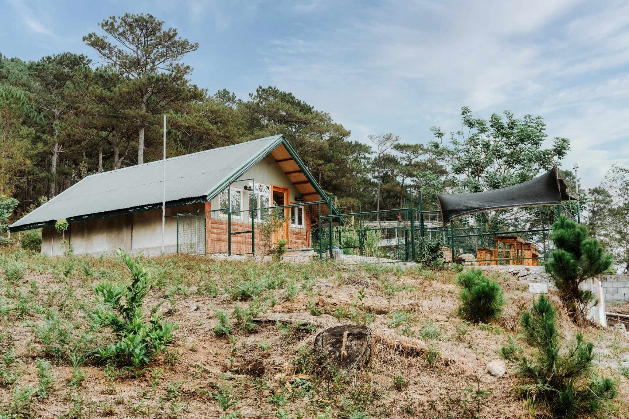 Cabin atop hill